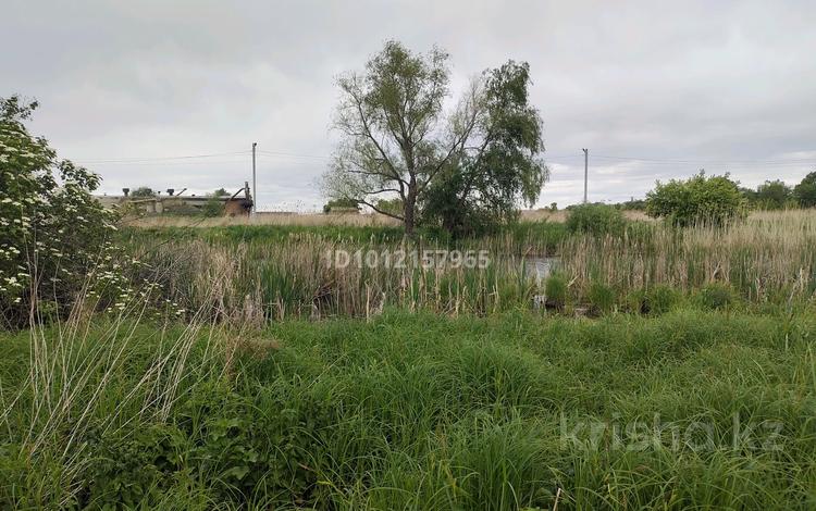 Участок · 8 соток, Ново-Явленка за 650 000 〒 в Усть-Каменогорске — фото 4