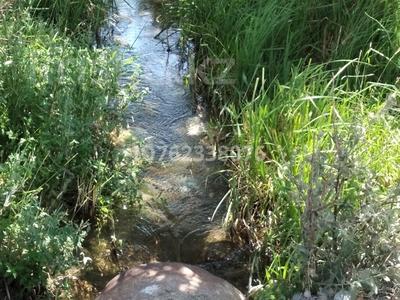 Участок · 25 га, БАКАД за 30 млн 〒 в Шелек