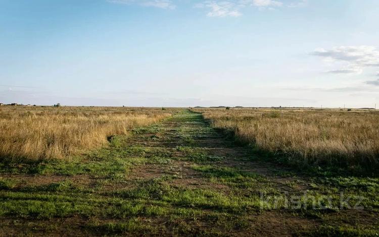 Жер телімі · 88 сотық, Косшы, бағасы: 132 млн ₸ — фото 2