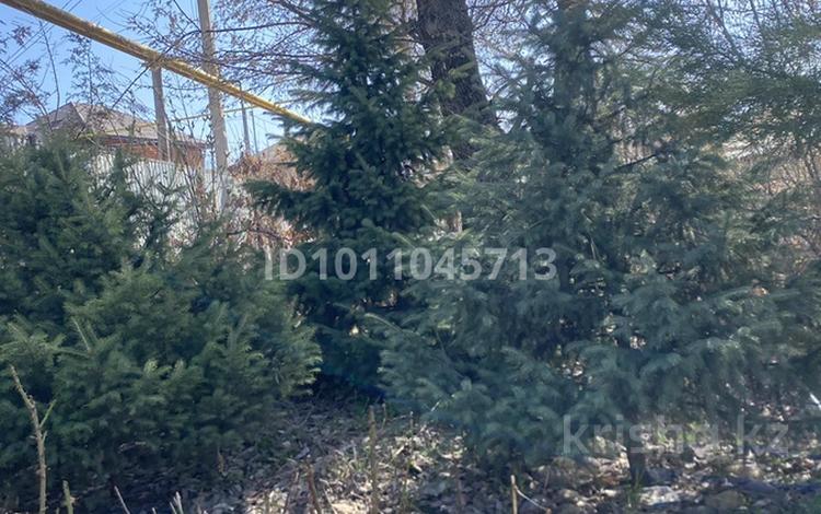 Отдельный дом · 3 комнаты · 120 м² · 8 сот., Село Рыскулова Амангельди 9а за 25 млн 〒 в Талгаре — фото 2