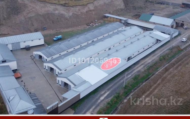 Сельское хозяйство · 3600 м² за 450 млн ₸ в Шымкенте, Енбекшинский р-н — фото 2