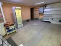 Свободное назначение, магазины и бутики, общепит, салоны красоты · 45 м² за 14.3 млн ₸ в Кокшетау — фото 6