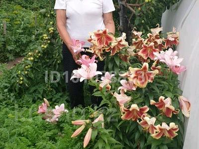 Дача · 2 комнаты · 35 м² · 6 сот., Красная 20 — Магазин Алма не далеко за 3.5 млн 〒 в Кокшетау