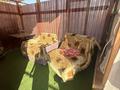 Дом · 2 комнаты · 90 м², мкр Маяк 61 — Топчиева за 55 000 〒 в Алматы, Турксибский р-н — фото 41