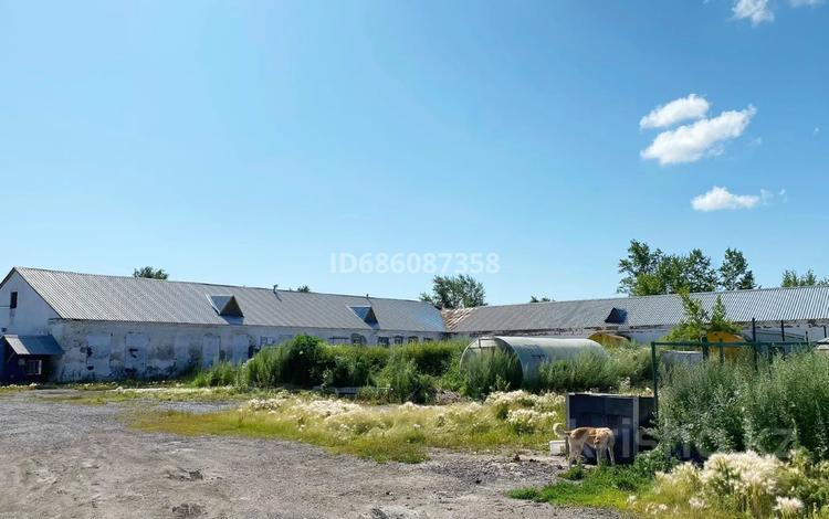 Еркін · 1336 м², бағасы: 35 млн 〒 в Акколе — фото 3