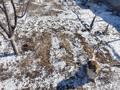 Часть дома · 2 комнаты · 64 м², мкр Коктем, Проектировщик 62 — Магазин Аксай за 12.5 млн ₸ в Атырау — фото 8