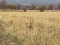 Участок · 5 соток, Южный за 6.5 млн ₸ в Каскелене — фото 8