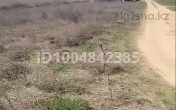 Участок · 6.5 соток, Байкент за 5.5 млн 〒 — фото 2