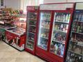 Готовый бизнес продуктовый магазин · 65 м² за 15 млн ₸ в Астане, Есильский р-н — фото 7