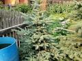 Отдельный дом · 4 комнаты · 112 м² · 5.5 сот., Ермака 81 — Щедрина за 45 млн ₸ в Павлодаре — фото 8