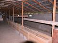 Промбаза 24 сотки, Дальняя карасу 101 за 16 млн 〒 в Таразе — фото 2