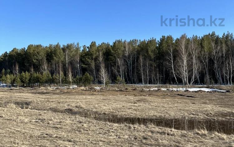 Жер телімі · 10 сотық, Бурабай (Боровое), бағасы: 10 млн ₸ — фото 2