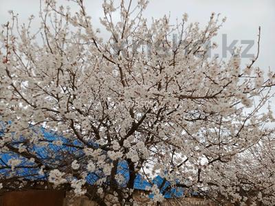 Участок · 50 га, Кызылкум — Мунайлы Батыр Ералы подхоз Сарша за 100 млн 〒 в Курыке