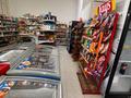 Готовый бизнес, действующий продуктовый магазин · 90 м² за 7.9 млн ₸ в Астане, Есильский р-н — фото 4