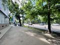 3-комнатная квартира · 60.9 м² · 1/5 этаж, Наурызбай батыра 28 — Макатаева за 60 млн ₸ в Алматы, Алмалинский р-н — фото 27