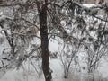2-бөлмелі пәтер · 60 м² · 2/2 қабат, Сейфулина 24 — Больницы, бағасы: 12 млн ₸ в Сарыкемере — фото 10