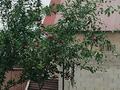 Отдельный дом · 3 комнаты · 57 м² · 8 сот., Сарыжазык 20 — Возле школы 1 за 13 млн ₸ в  — фото 2