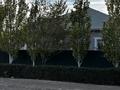 Отдельный дом · 5 комнат · 180 м² · 12 сот., мкр Оркен, Хабиболла Қуанышқали 39 за 50 млн ₸ в Атырау — фото 50