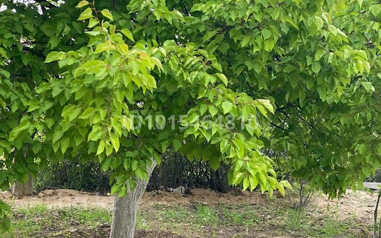Жеке үй · 5 бөлме · 260 м² · 5 жүзд., Акбулак 211 — Рауан, бағасы: 22 млн ₸ в Умирзаке — фото 3
