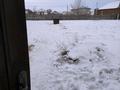 Жеке үй · 4 бөлме · 100 м² · 14 жүзд., Переулок Автодромный, бағасы: 17.5 млн ₸ в Семее — фото 4