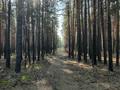 Отдельный дом · 5 комнат · 160 м² · 10 сот., ЛОЛ 18/1 за 50 млн ₸ в  — фото 9