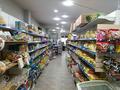 Магазины и бутики · 899.7 м² за 409 млн ₸ в Алматы, Наурызбайский р-н — фото 6