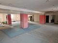 Магазины и бутики · 899.7 м² за 409 млн ₸ в Алматы, Наурызбайский р-н — фото 7