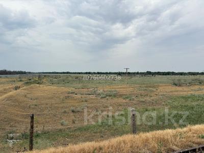 Участок · 68.16 га, Участок 521 за 6.5 млрд 〒 в Алатау