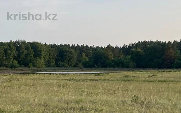 Участок · 16 га, Акколь за 20 млн 〒 — фото 2