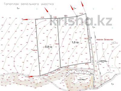 Участок · 180 соток, Бельбулак (Мичурино) за 550 млн 〒
