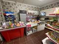 Отдельный дом · 25 комнат · 750 м² · 5 сот., мкр Айгерим-2, Алмерек Абыз 82 — Карашыганак за 120 млн ₸ в Алматы, Алатауский р-н — фото 45