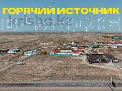 ЗОНА ОТДЫХА НА ГОРЯЧИХ ИСТОЧНИКАХ · 1600 м² за 600 млн ₸ в Чундже