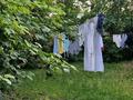 Отдельный дом · 4 комнаты · 80 м² · 24 сот., Кабанбай батыра — Угол Таукехана(школьная) Кабанбай батыра за 16 млн ₸ в Бактыбая жолбарысулах — фото 32