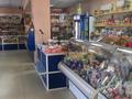 Свободное назначение, магазины и бутики • 205 м² за 65 млн 〒 в Павлодаре — фото 4