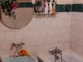 3-комнатная квартира · 53 м² · 2/3 этаж, Гани Иляева 17 за 22 млн ₸ в Шымкенте, Аль-Фарабийский р-н — фото 10