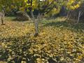 Жеке үй · 5 бөлме · 100 м² · 5 жүзд., Каримбаева 1 — Рудзутака, бағасы: 100 млн ₸ в Алматы, Медеуский р-н — фото 13