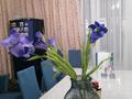 Отдельный дом · 7 комнат · 450 м² · 25 сот., мкр Тастыбулак за 205 млн ₸ в Алматы, Наурызбайский р-н — фото 3