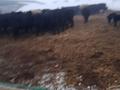Өнеркәсіптік база · 2 га, Култума 41, бағасы: 300 млн ₸ в Коргалжыне — фото 2