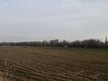 Жер телімі · 1.85 га, Амира темура, бағасы: 50 млн ₸ в Шымкенте