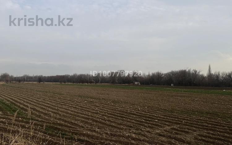 Жер телімі · 1.85 га, Амира темура, бағасы: 50 млн ₸ в Шымкенте — фото 2
