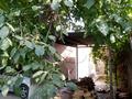 Отдельный дом · 3 комнаты · 80 м² · 6 сот., жилой массив Кайнар Булак, Зеленая за 10 млн ₸ в Шымкенте, Абайский р-н — фото 6