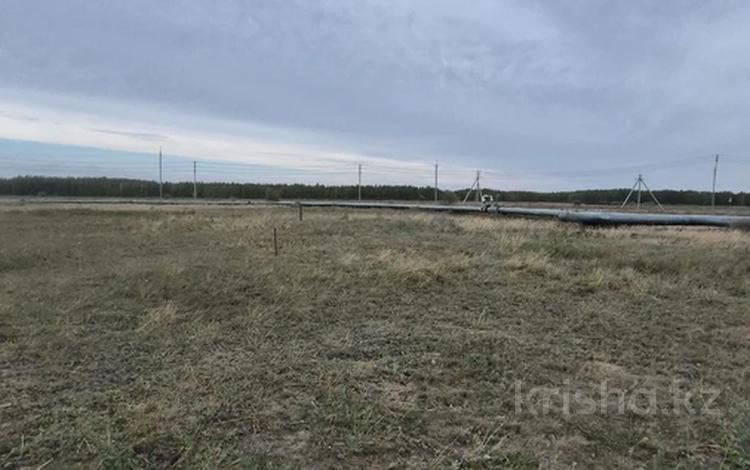Жер телімі · 8 га, Трассы 12, бағасы: 1 млрд ₸ в  — фото 2