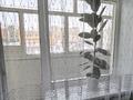 3-комнатная квартира · 59 м² · 6/6 этаж, Шакарима кудайбердыулы 38 — СРОЧНО! СРОЧНО! СРОЧНО! за 23.3 млн ₸ в Астане, Алматы р-н — фото 38