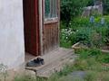 Дача · 2 комнаты · 20 м² · 12 сот., мкр Юго-Восток — Дачное общество "Золотая Осень" за 3 млн 〒 в Караганде, Казыбек би р-н