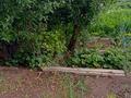 Дача · 2 комнаты · 20 м² · 12 сот., мкр Юго-Восток — Дачное общество "Золотая Осень" за 3 млн 〒 в Караганде, Казыбек би р-н — фото 5