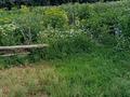 Дача · 2 комнаты · 20 м² · 12 сот., мкр Юго-Восток — Дачное общество "Золотая Осень" за 3 млн 〒 в Караганде, Казыбек би р-н — фото 7