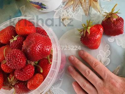 Дача · 1 комната · 17 м² · 18 сот., Турарские дачи за 6.7 млн 〒