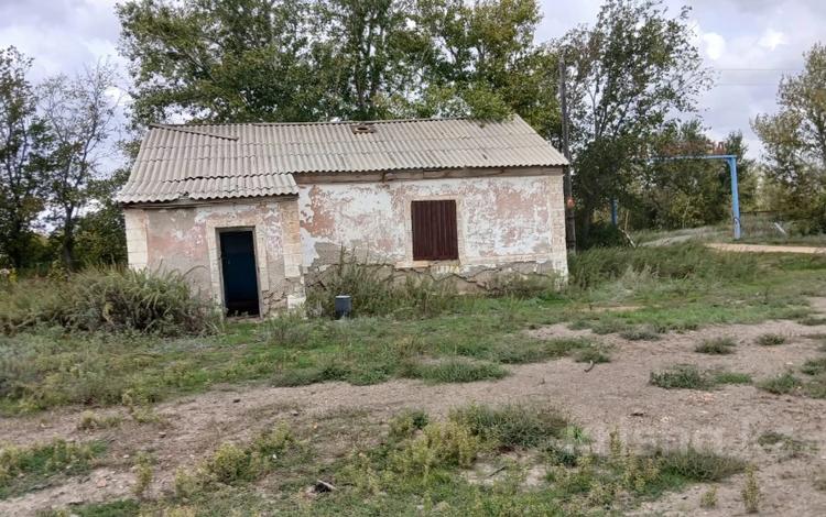 Отдельный дом · 1 комната · 51 м² · 8.9 сот., ул. 50 лет СССР 2А за 244 000 〒 в Бирсуат — фото 2