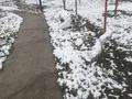 Отдельный дом · 5 комнат · 85 м² · 14 сот., Первомайская 78 за 32 млн ₸ в Боралдае (Бурундай) — фото 22