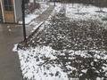 Отдельный дом · 5 комнат · 85 м² · 14 сот., Первомайская 78 за 32 млн ₸ в Боралдае (Бурундай) — фото 23